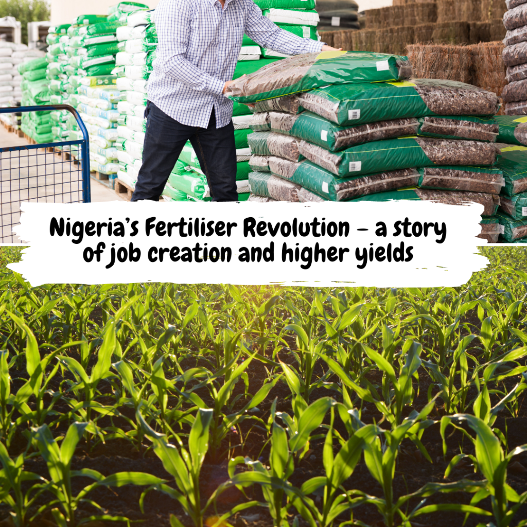 Farouk Gumel - Nigeria’s Fertiliser Revolution – a story of job creation and higher yields