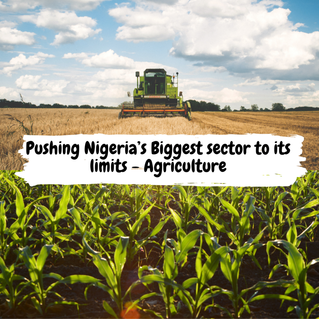 Pushing Nigeria’s Biggest Agriculture sector to its limits 