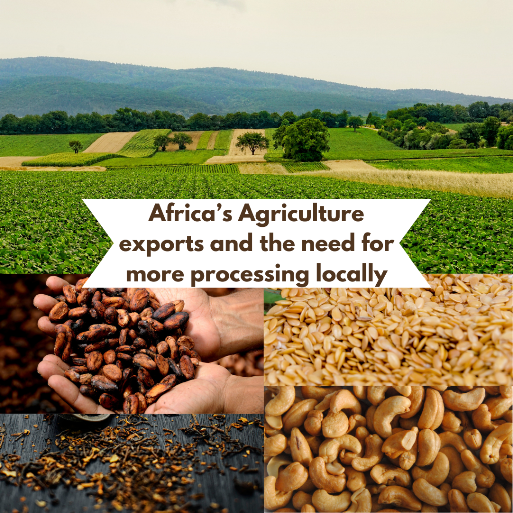 Farouk Gumel - Africa’s Agriculture exports and the need for more processing locally