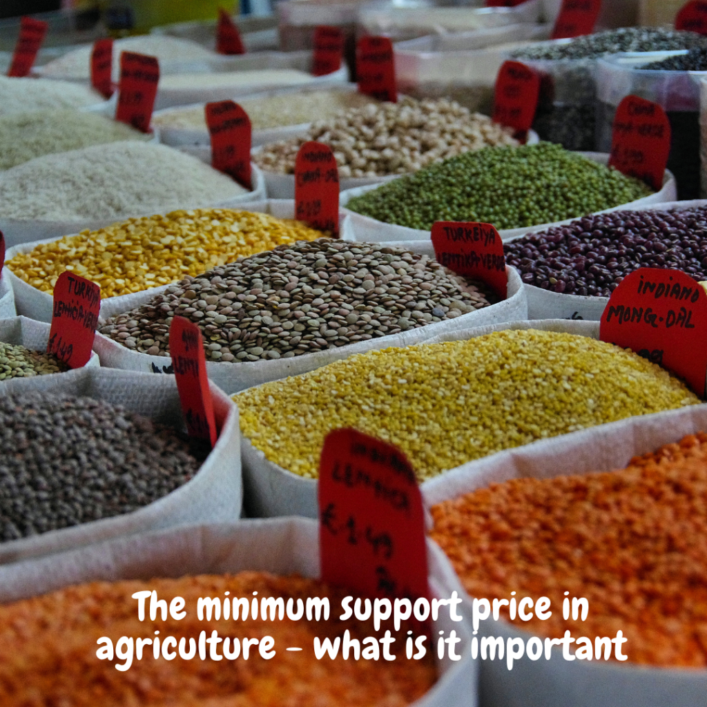 Farouk Gumel - The minimum support price in agriculture - what is it important
